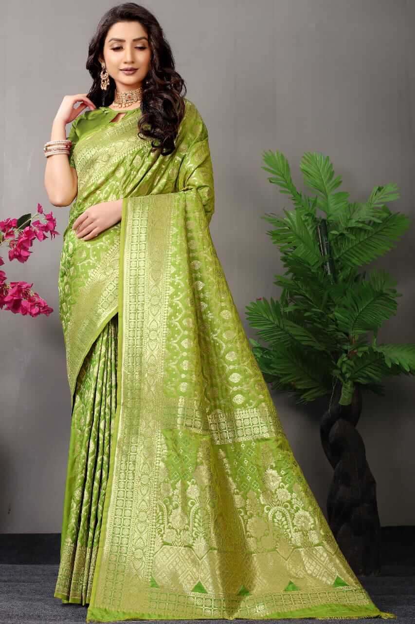 lovely green saree