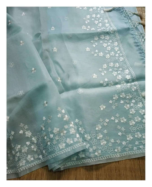 Sky Blue Pure Organza Silk Chikankari Embroidery saree